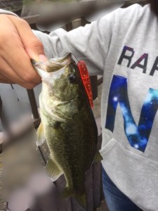 o0480064013782520080