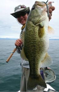 o0480074913763595294