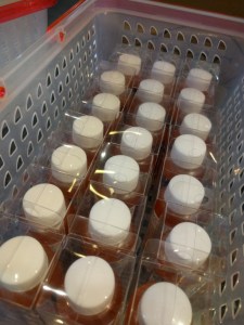 o0720096013777454369