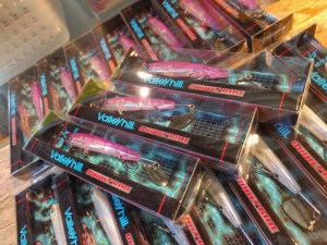 o0960072013771779704