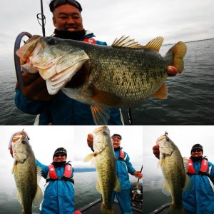 o0960096013782248883