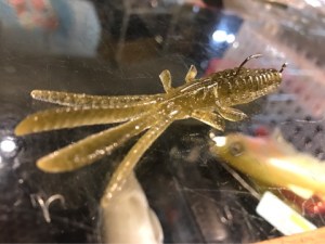 o0480036013796278518