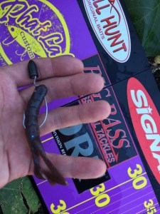 o0480064013790690464