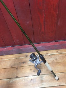 o0480064013798687340