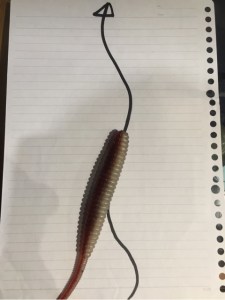 o0480064113785715523