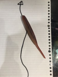 o0480064113785715533