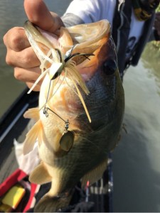 o0480064113787664692