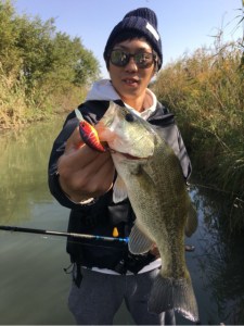 o0480064113787664711