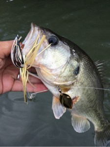 o0480064113787664751