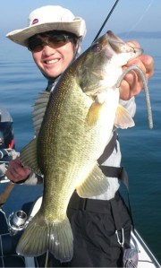 o0480079913797795967