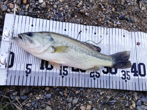 o0480036013813519424