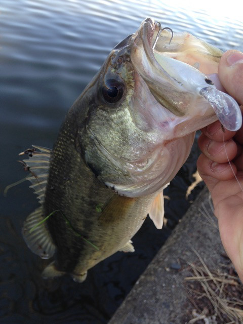 o0480064013813519417