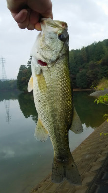 t02200391_0630112113811042437