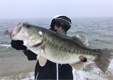 o0480033913846947728