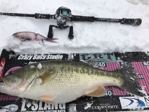 o0480036013846947736