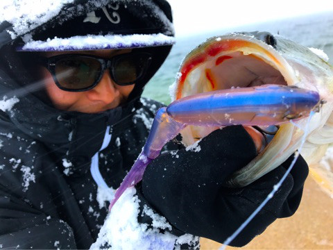 o0480036013847022186