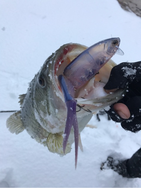 o0480064113846947743