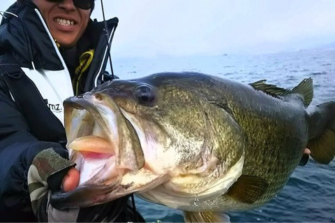 o0480031913869341422