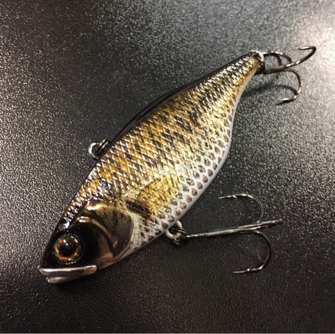 o0480047913858696308