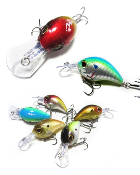 o0480060013858845010