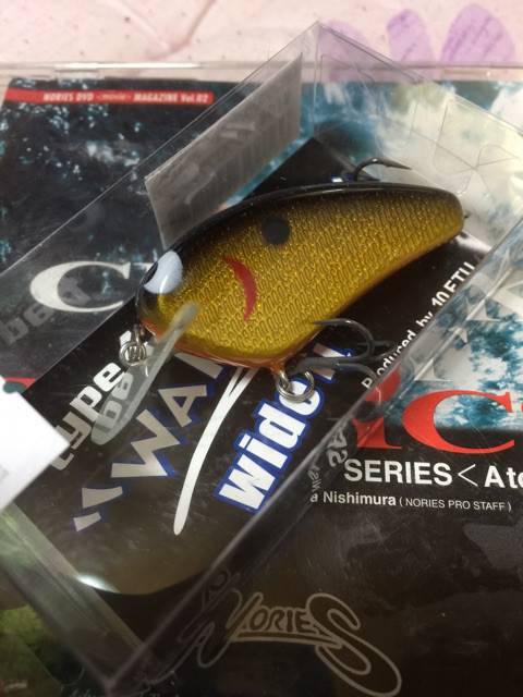 o0480064013857307088