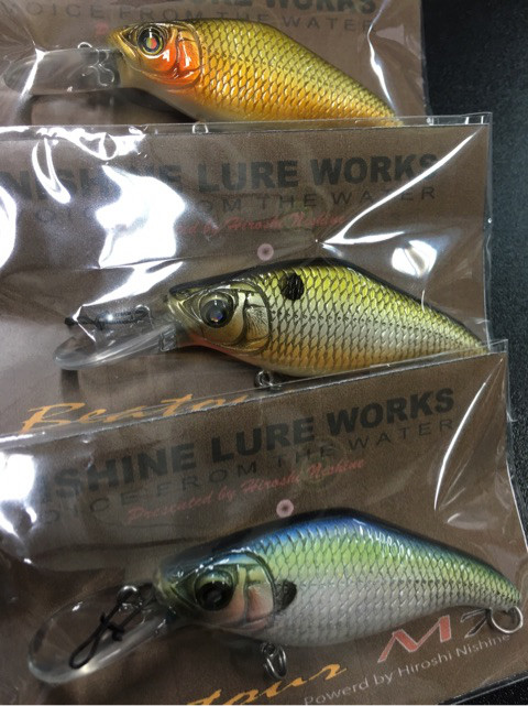 o0480064113876028066