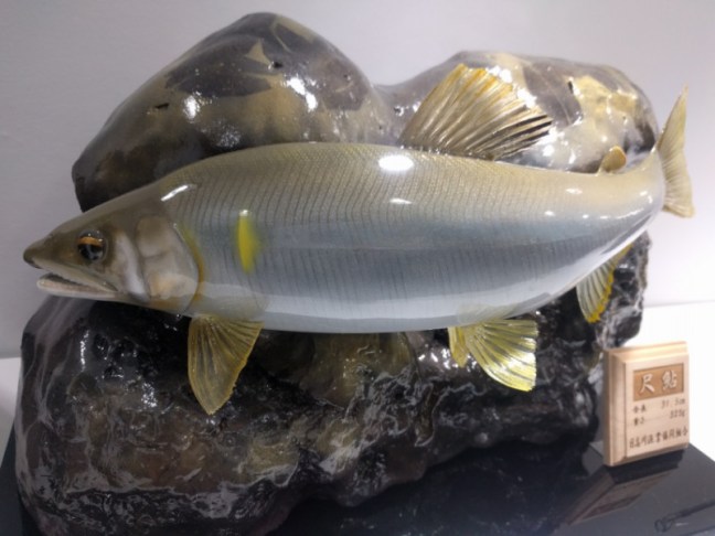 o0960072013860261544