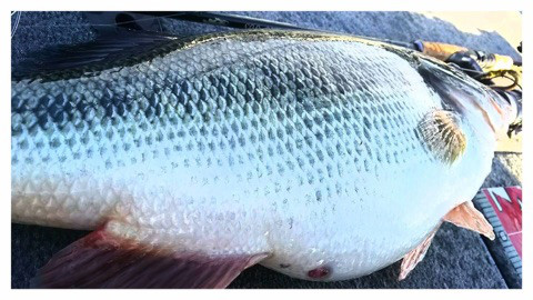 o0480027013878500128