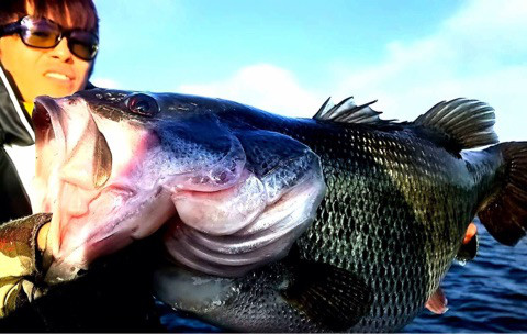 o0480030413878500123