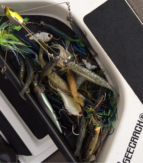 o0480054713892823359