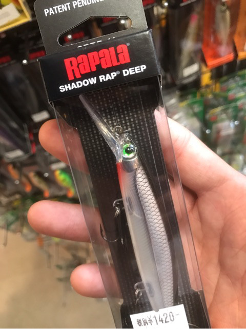 o0480064113889973872