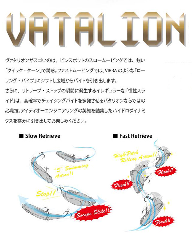 o0640080013880544658