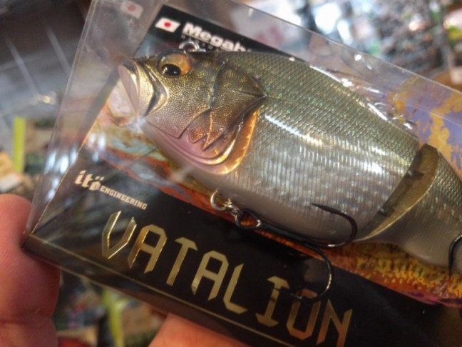 o0960072013880543414-1