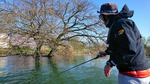 o0480027013916066194