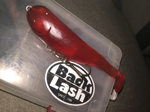 o0480036013921407449