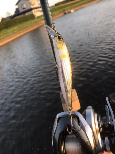 o0480064113912589864