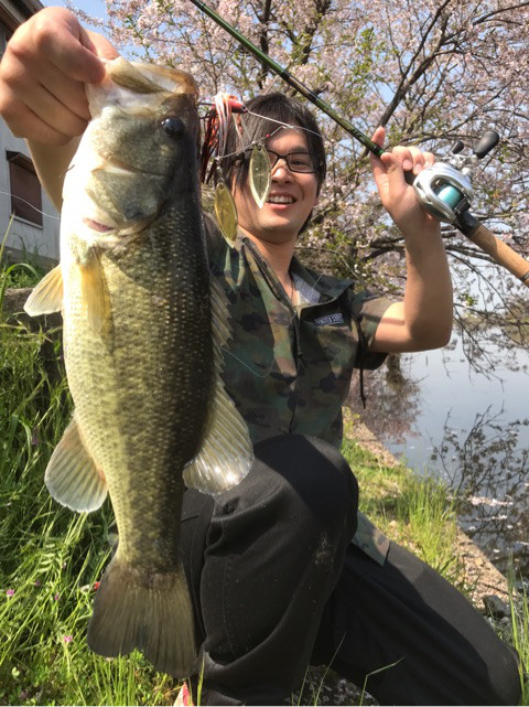 o0480064113914614756