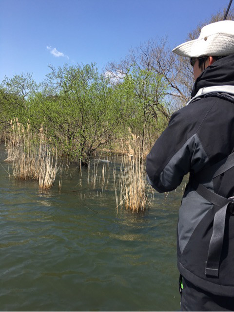 o0480064113915981331