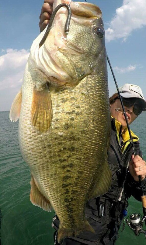 o0480080213906547267