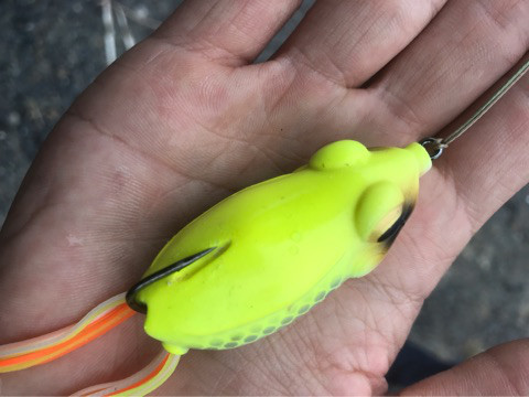 o0480036013945130237