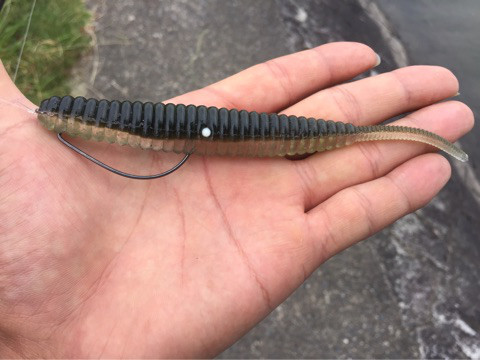 o0480036013948672119