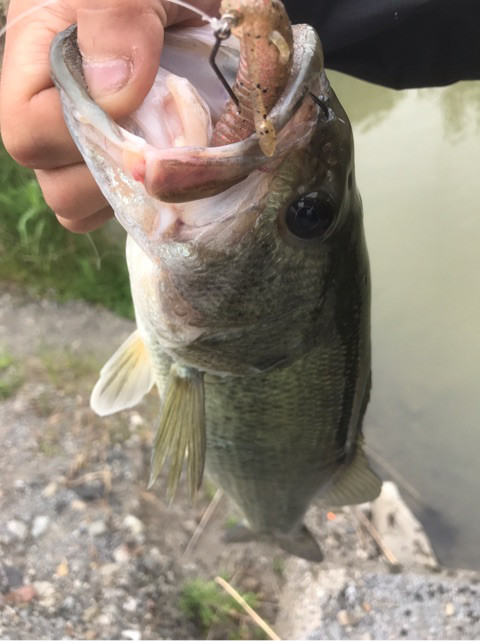 o0480064113945130231