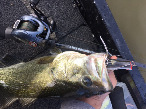 o0480036013957541504