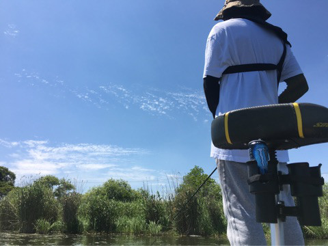 o0480036013957541514