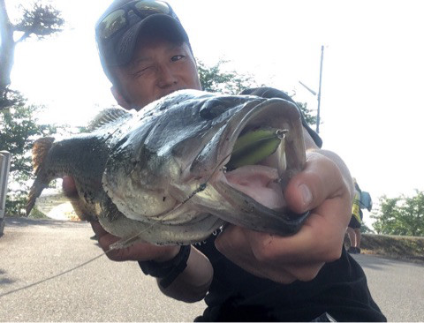 o0480036613956181241