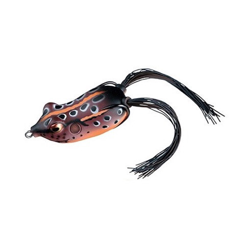 o0480048013960643104