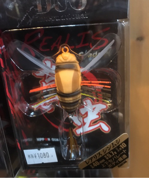 o0480057513961197494