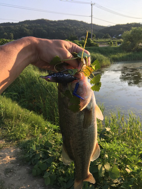 o0480064013965148392