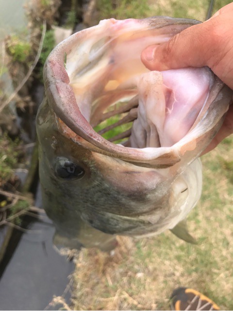 o0480064113950701572