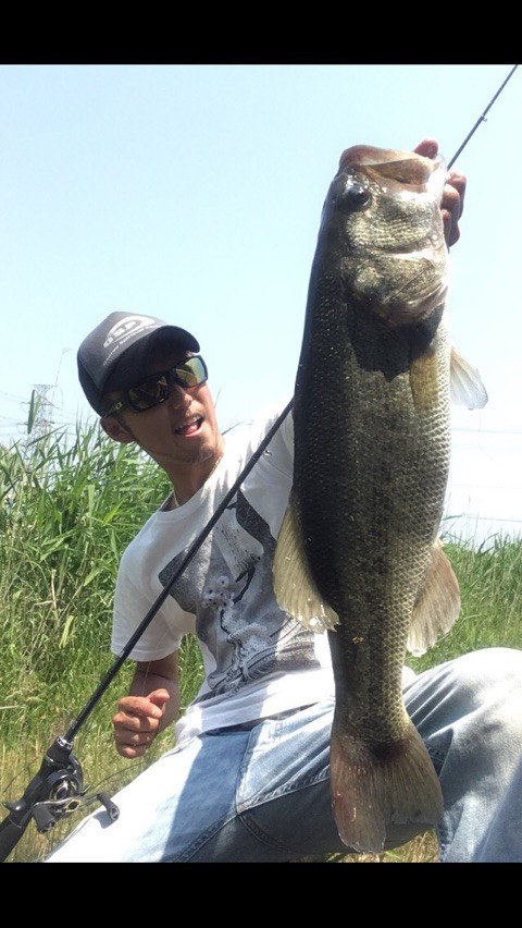 o0480085213956181254